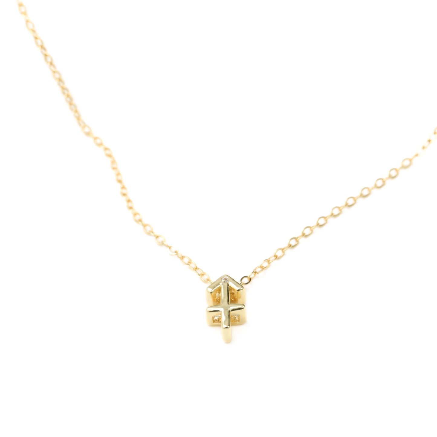 Dainty Zodiac Necklace
