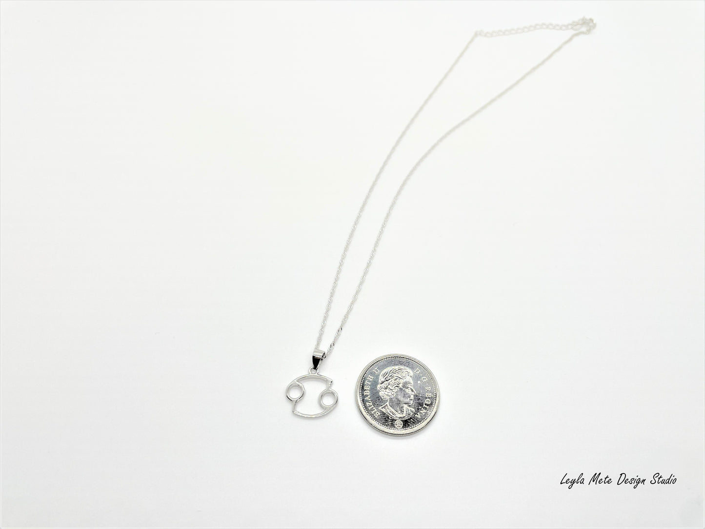 Silver Zodiac Necklace