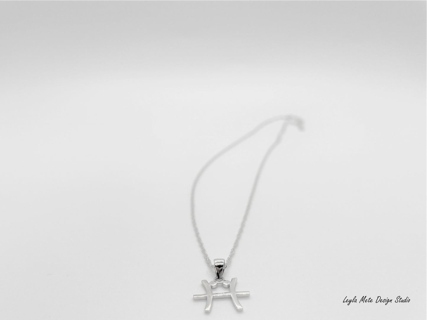 Silver Zodiac Necklace