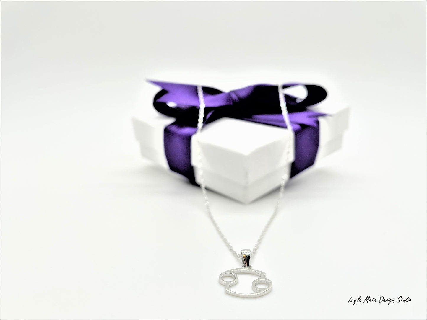 Silver Zodiac Necklace