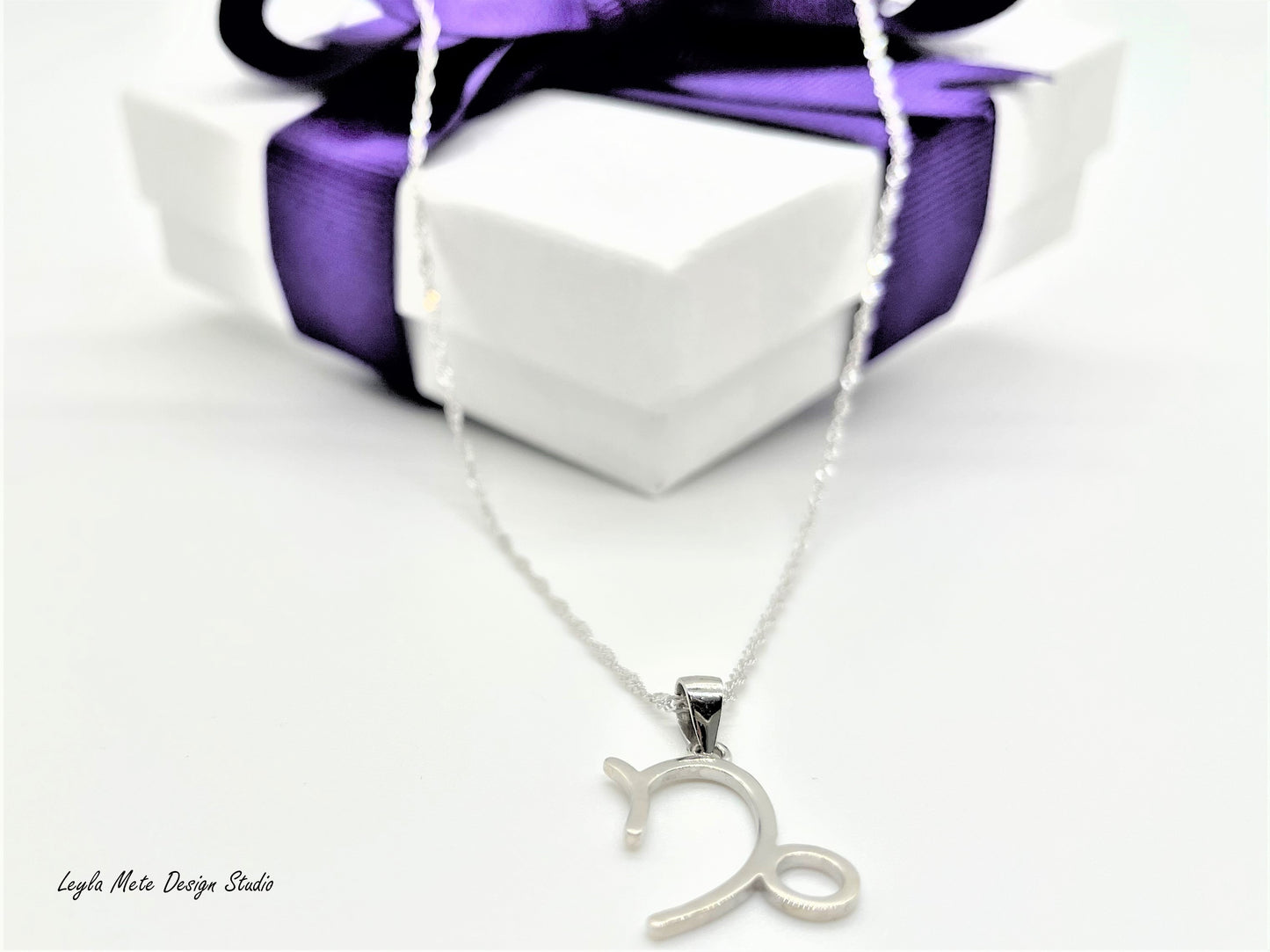 Silver Zodiac Necklace
