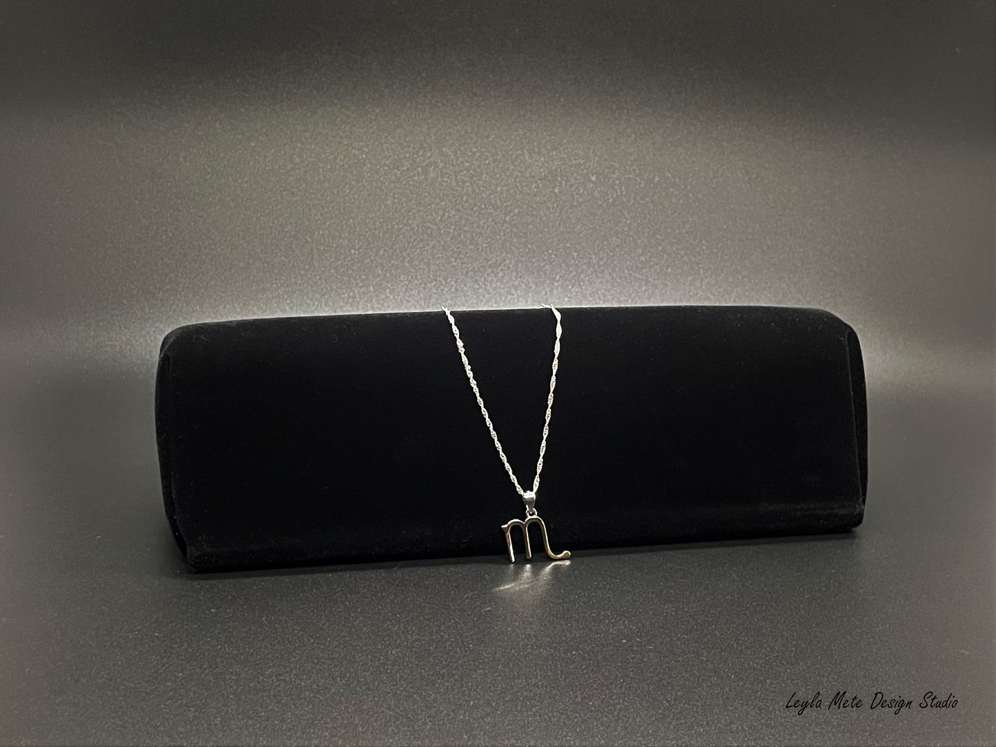 Silver Zodiac Necklace