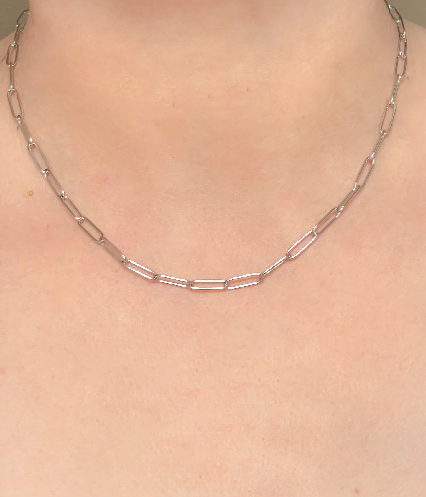 Dainty Paperclip Necklace