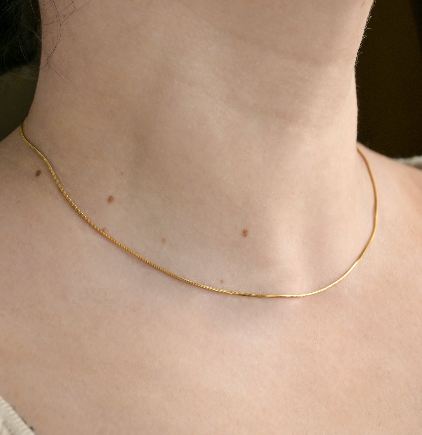 Twisted Snake Chain Necklace