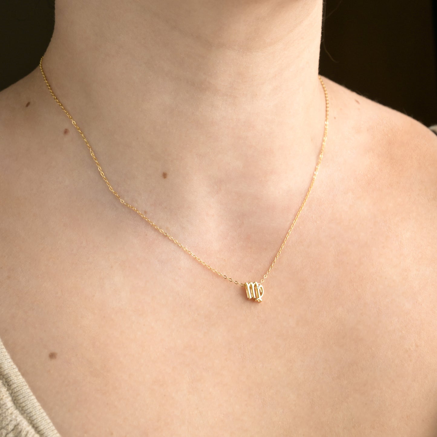 Dainty Zodiac Necklace