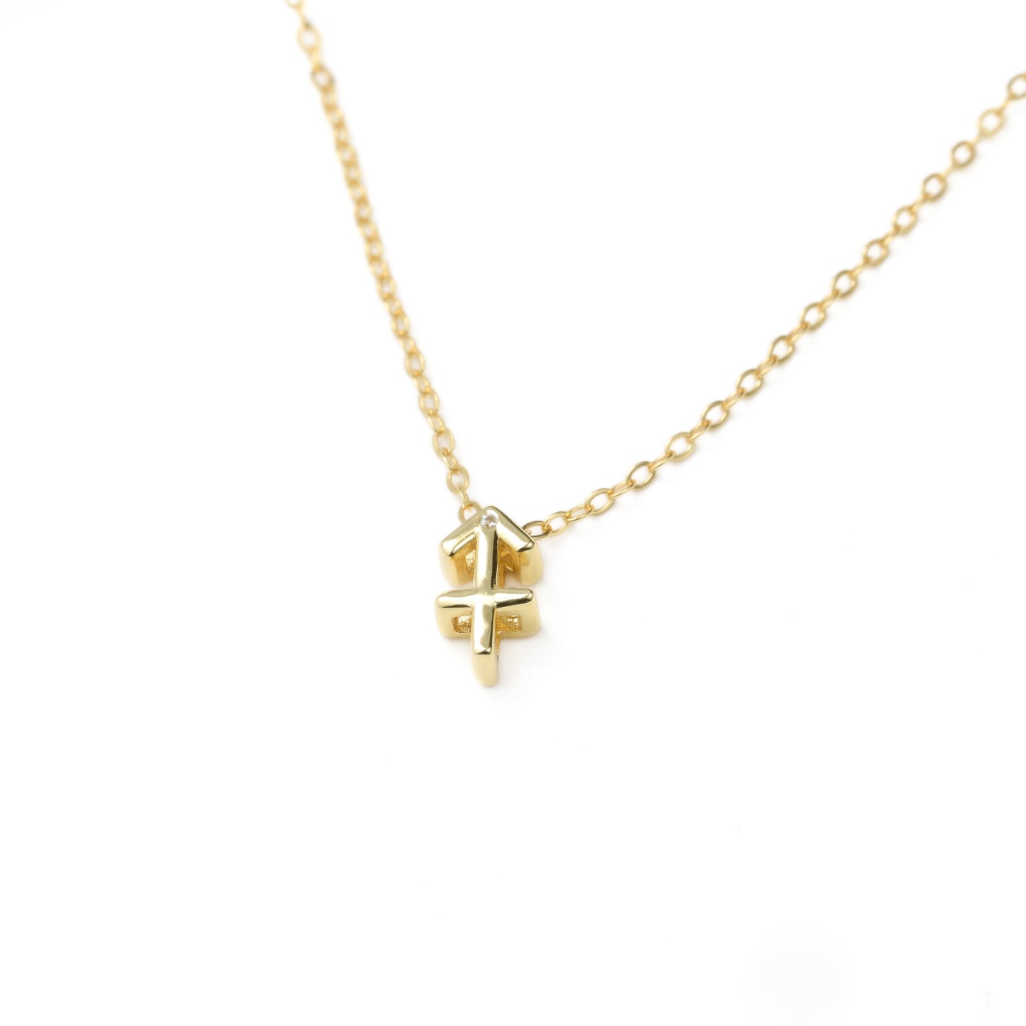 Dainty Zodiac Necklace