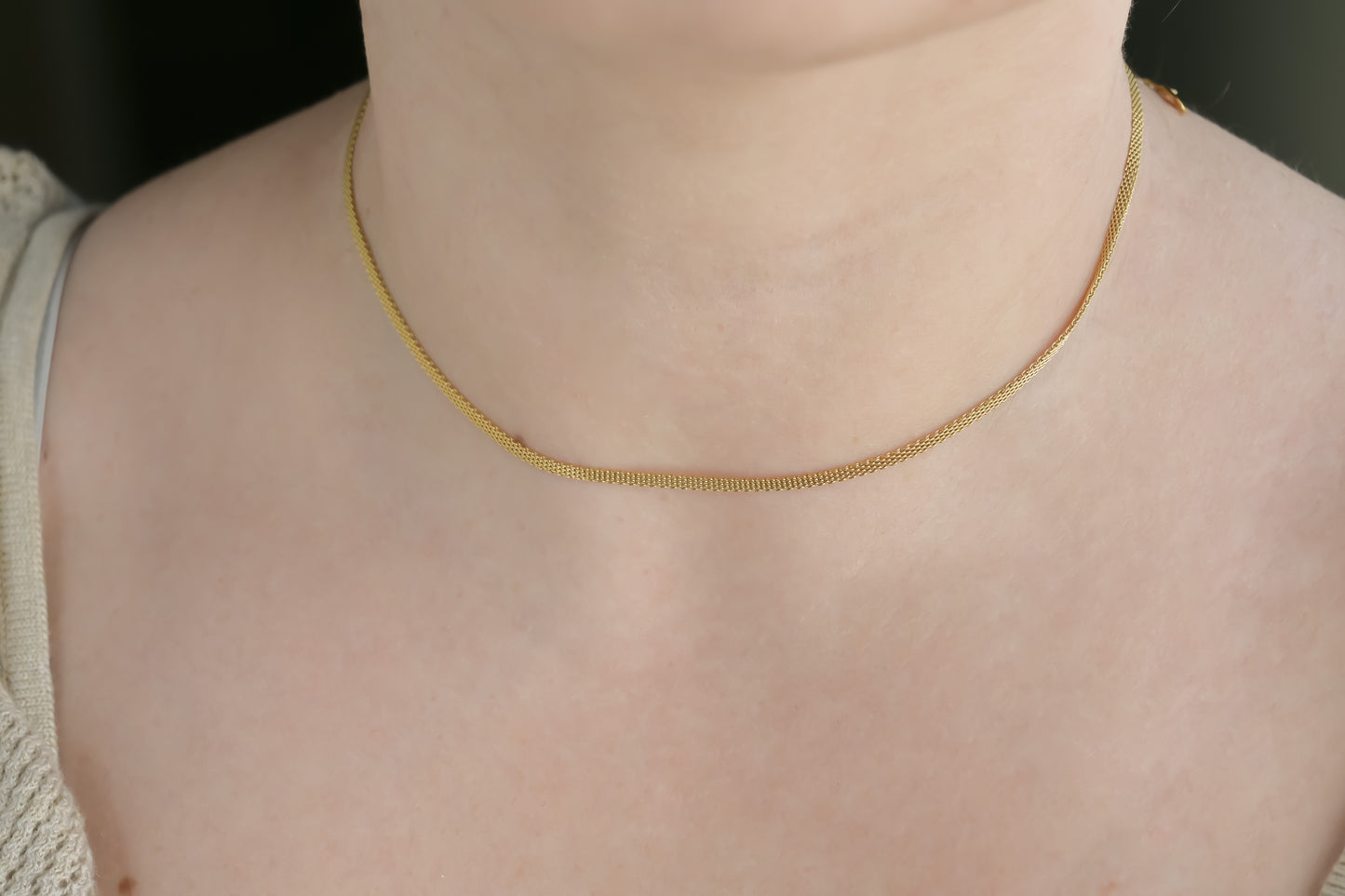 Thin Mesh Choker