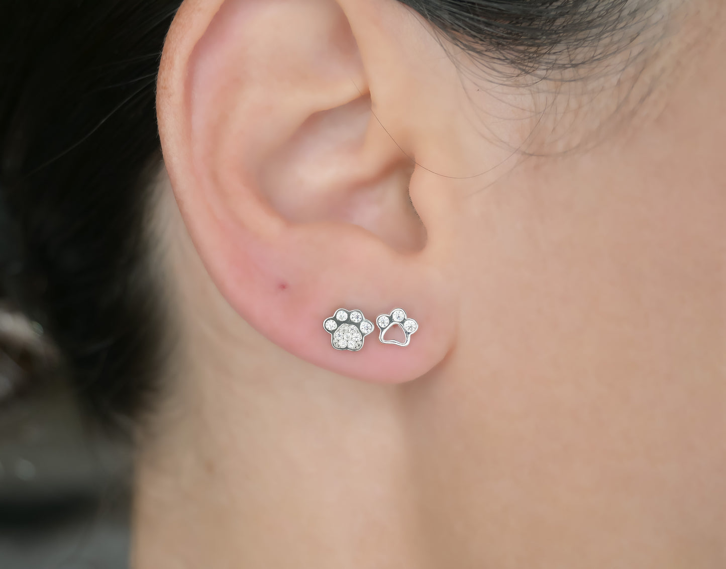 Silver Paw Studs