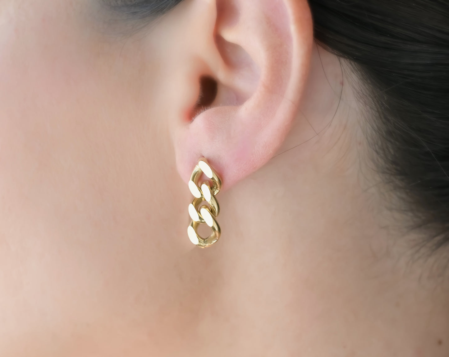 Curb Link Drop Earrings