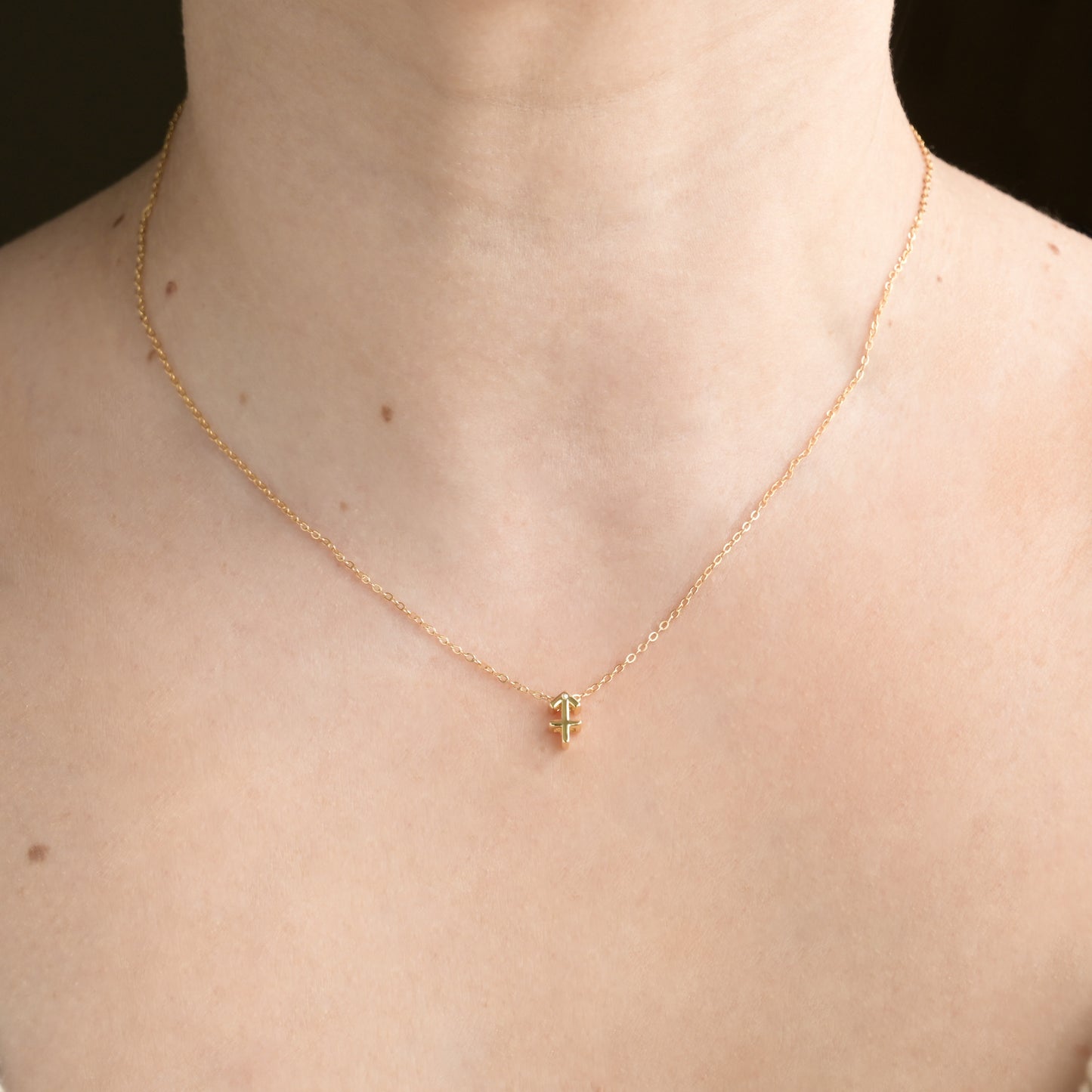Dainty Zodiac Necklace