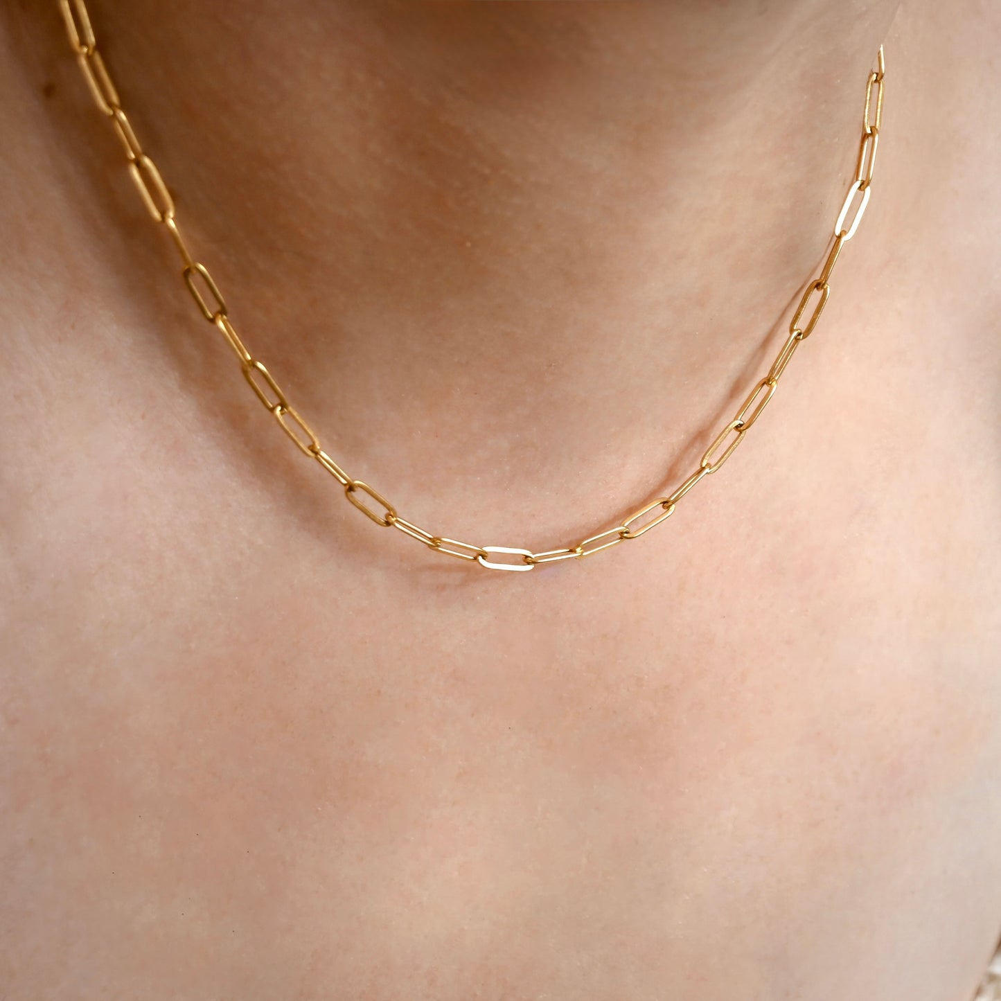 A close-up of a delicate gold paperclip chain necklace worn on a person's neck.