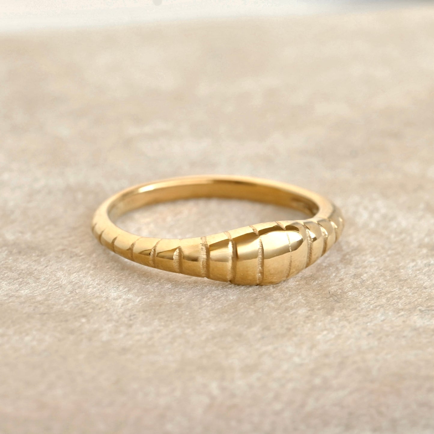 Textured Signet Rings - 18k Gold PVD Croissant Dome and Striped Design