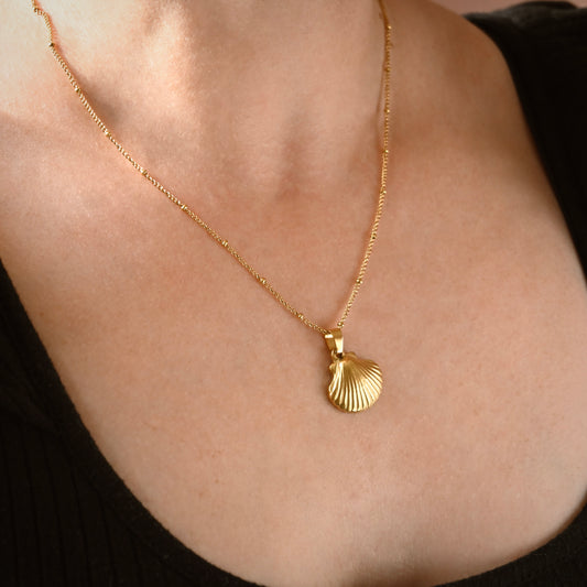 A gold shell pendant necklace worn on a model's neck, featuring a delicate gold chain and a textured, ribbed scallop shell pendant.