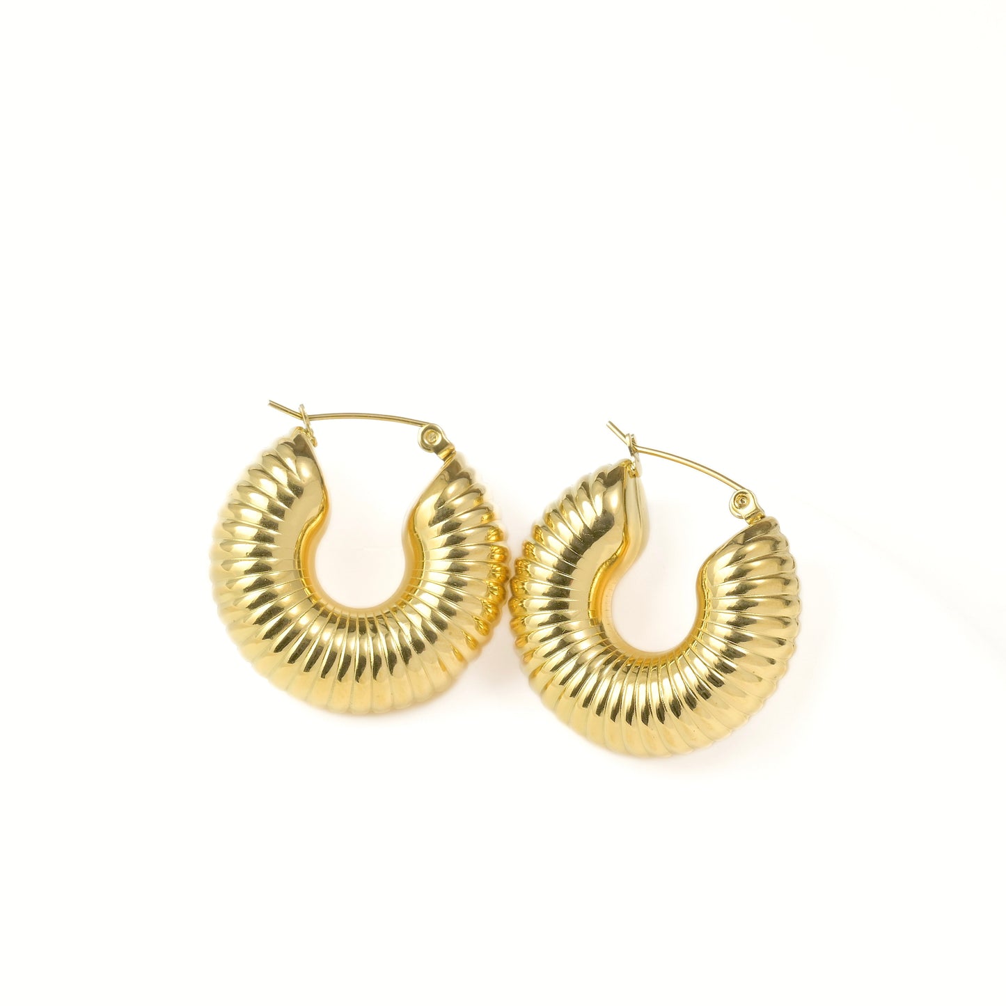 Tarnish-free Striped hoop earrings on a white background